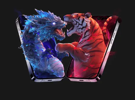 Dragon vs Tiger